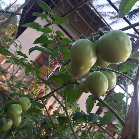 Palm Garden House Hotel Quảng Trị Ngoại thất bức ảnh