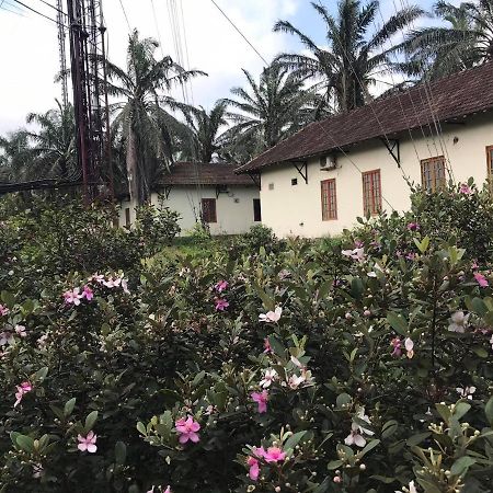 Palm Garden House Hotel Quảng Trị Ngoại thất bức ảnh