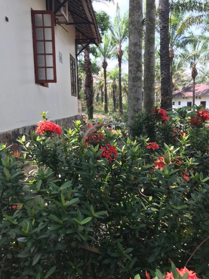 Palm Garden House Hotel Quảng Trị Ngoại thất bức ảnh