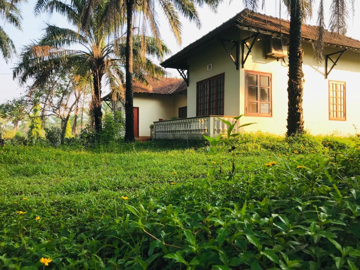 Palm Garden House Hotel Quảng Trị Ngoại thất bức ảnh